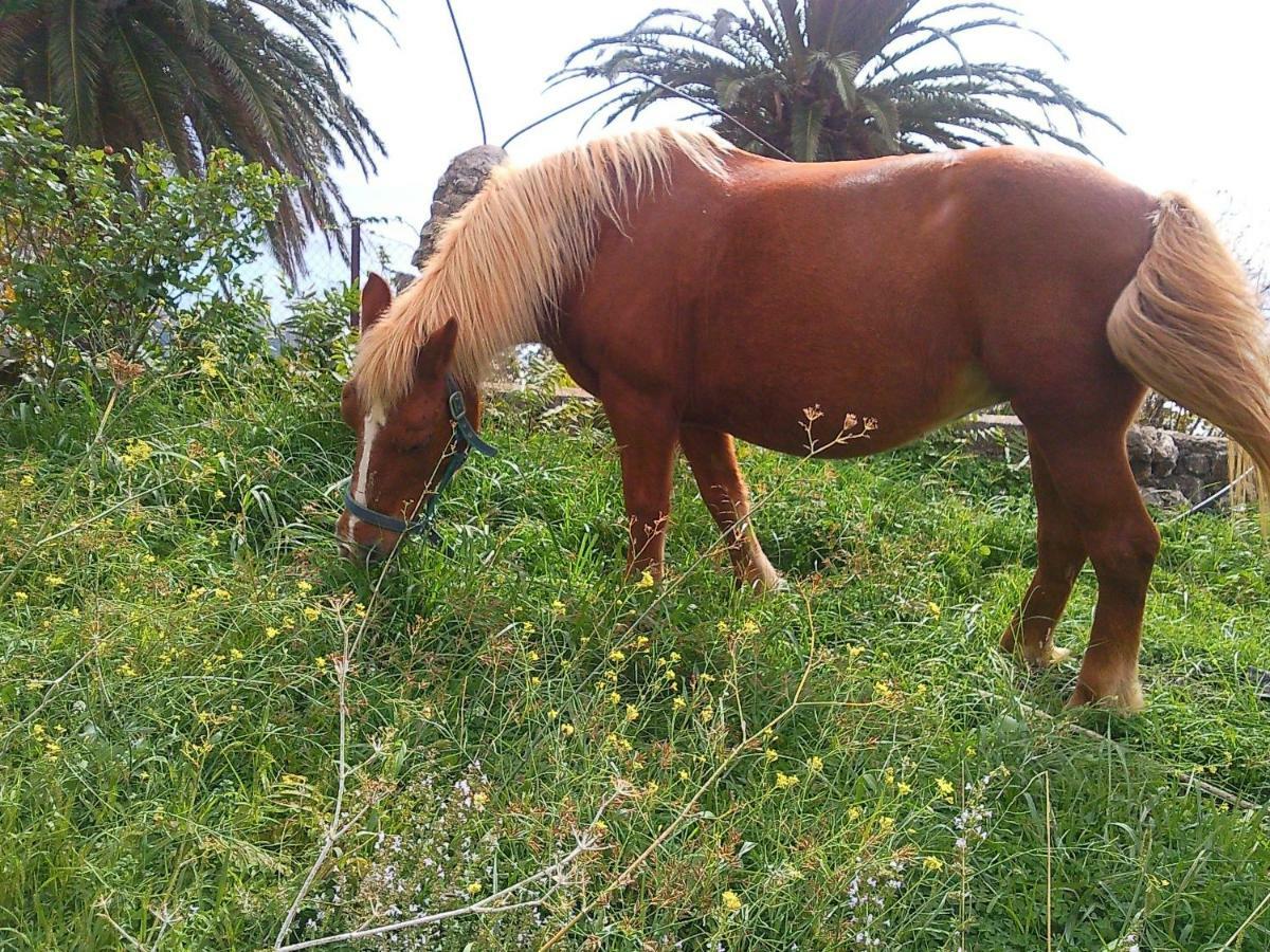 Azienda Agrituristica Le Terre Di San Leonardo Cetraro Exteriör bild